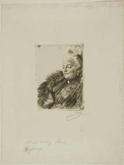 ジョルジュ・メイ2世夫人 作： Anders Leonard Zorn