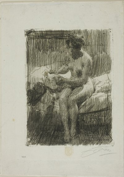 モデルの読み方 作： Anders Leonard Zorn