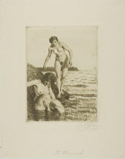 ヘムソ島で 作： Anders Leonard Zorn