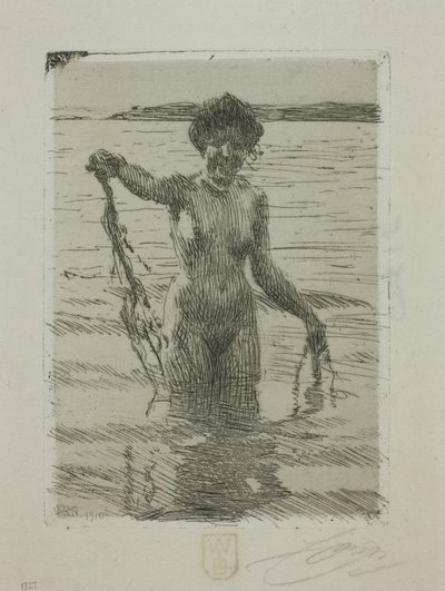 海藻 作： Anders Leonard Zorn
