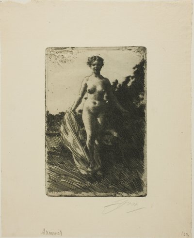 夏 作： Anders Leonard Zorn