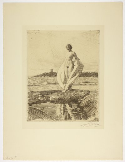 白鳥 作： Anders Leonard Zorn