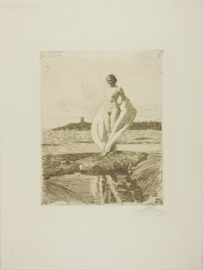 白鳥 作： Anders Leonard Zorn