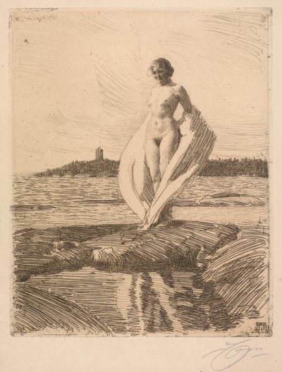 白鳥 作： Anders Leonard Zorn