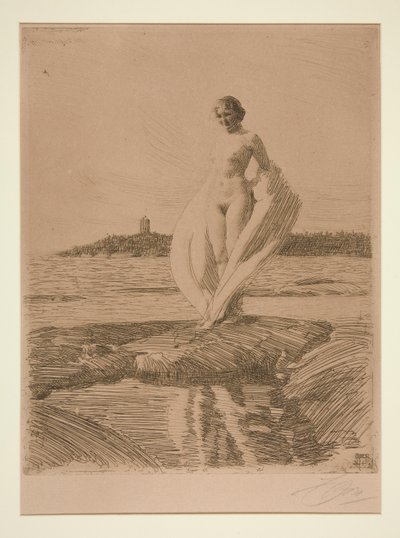 白鳥 作： Anders Leonard Zorn
