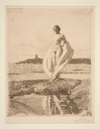 白鳥 作： Anders Leonard Zorn
