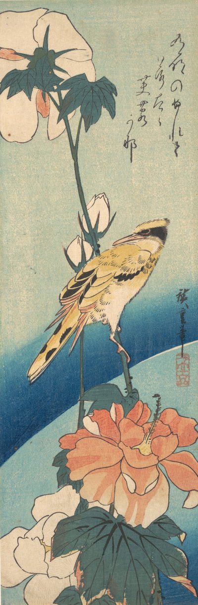 アオイ科の植物の幹に乗ったコウライウグイス、カリフォルニア州。 1834年頃。 1834年。 作： Ando Hiroshige