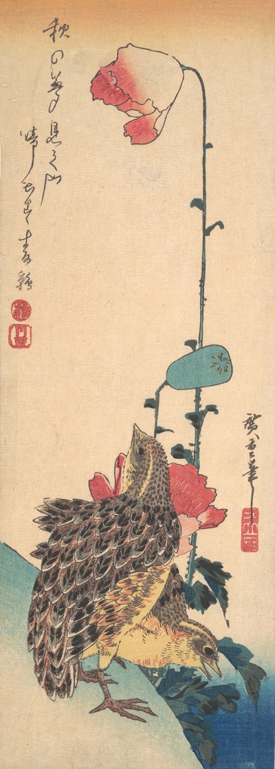 ウズラとケシのペア、約。 1835年頃。 1835年。 作： Ando Hiroshige