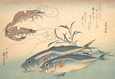 魚づくしシリーズより アジと車海老, 1830s., 1830s. 作： Ando Hiroshige