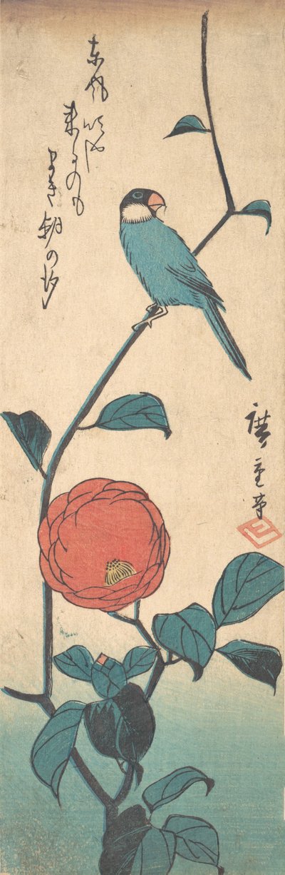 カメリアとフィンチ、カリフォルニア州。 1840年頃。 1840年。 作： Ando Hiroshige