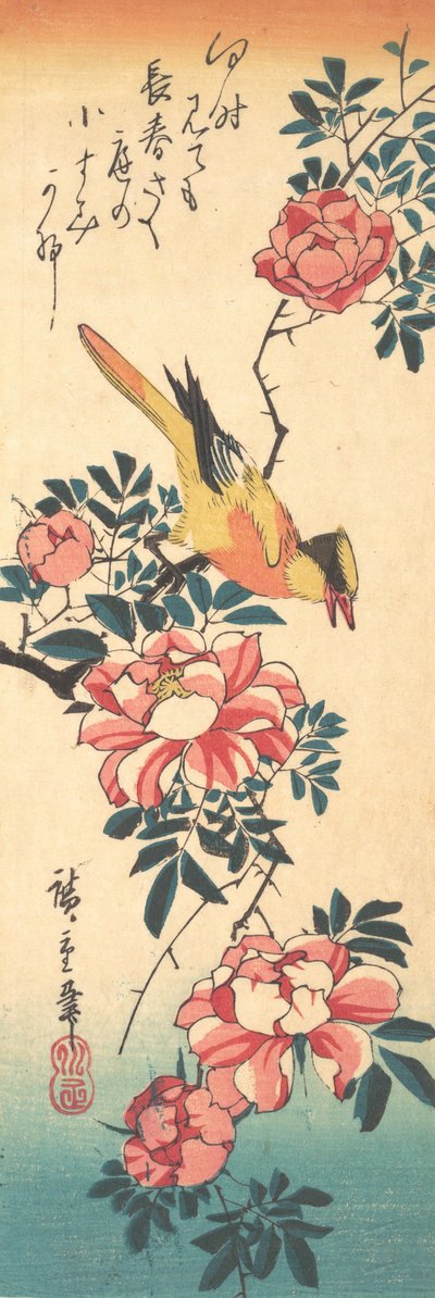 イースタンハイセキレイとバラ、1830 年代初期、1830 年代初期。 作： Ando Hiroshige