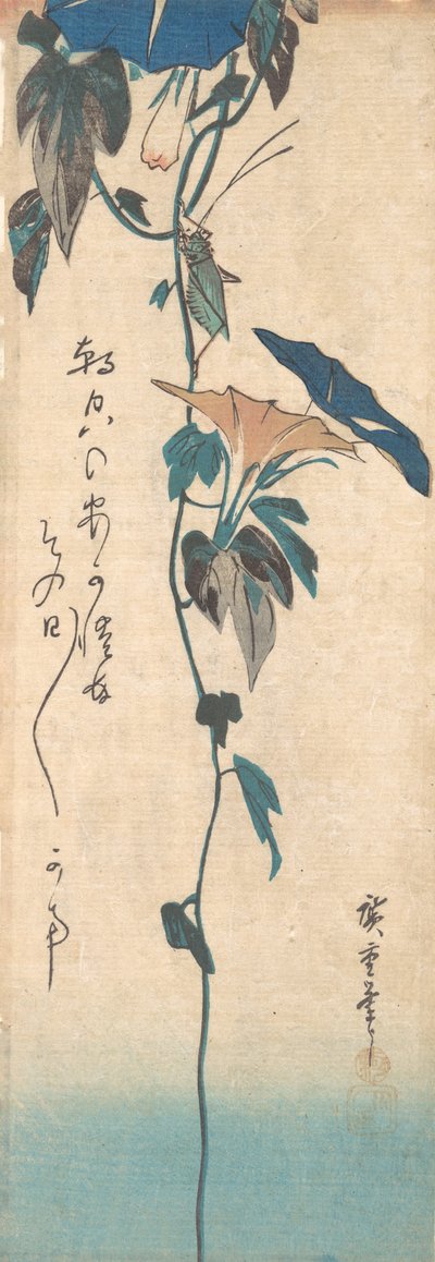 バッタとアサガオのつる、カリフォルニア州。 1835年頃。 1835年。 作： Ando Hiroshige