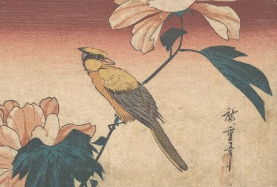 Hibiscus Mutabilis と Jay, ca. 1840年頃 1840年 作： Ando Hiroshige