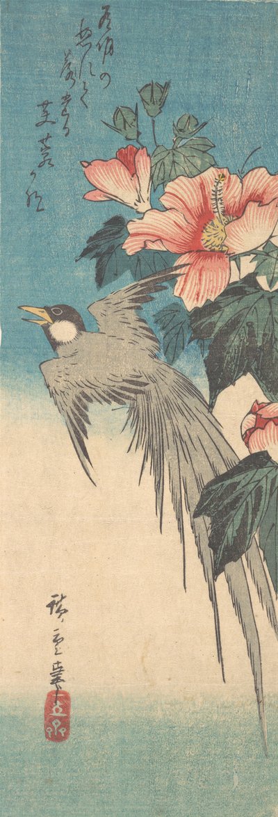 Hibiscus Mutabilis と Long-Tailed Bird, ca. 1842年頃。 1842年。 作： Ando Hiroshige