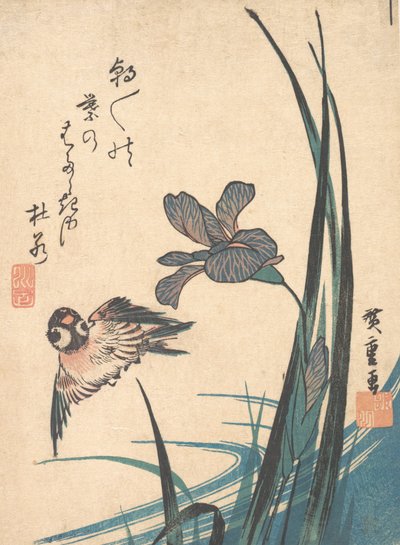 アイリスとスズメ、カリフォルニア州。 1832年頃。 1832年。 作： Ando Hiroshige