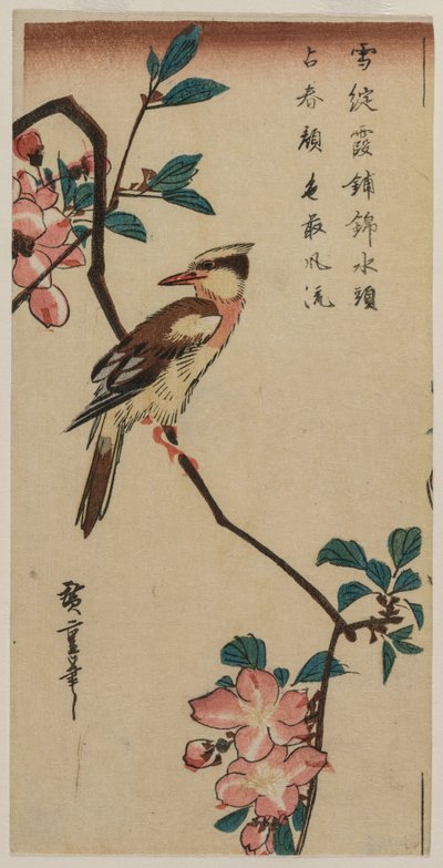 1830 年代初期または中期の桜の枝にいる韓国のナイチンゲール。 作： Ando Hiroshige