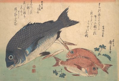 タケノコとベリーを添えたクロダイとコダイの魚、シリーズ「魚づくしのすべての V...」から、1830 年代。 作： Ando Hiroshige
