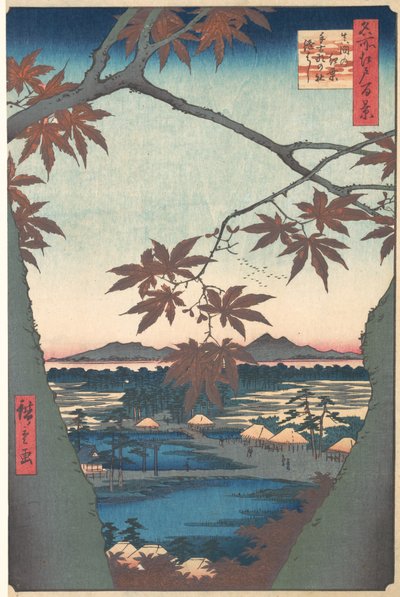 名所江戸百景 ママのもみじ 1857年頃。 1857年。 作： Ando Hiroshige