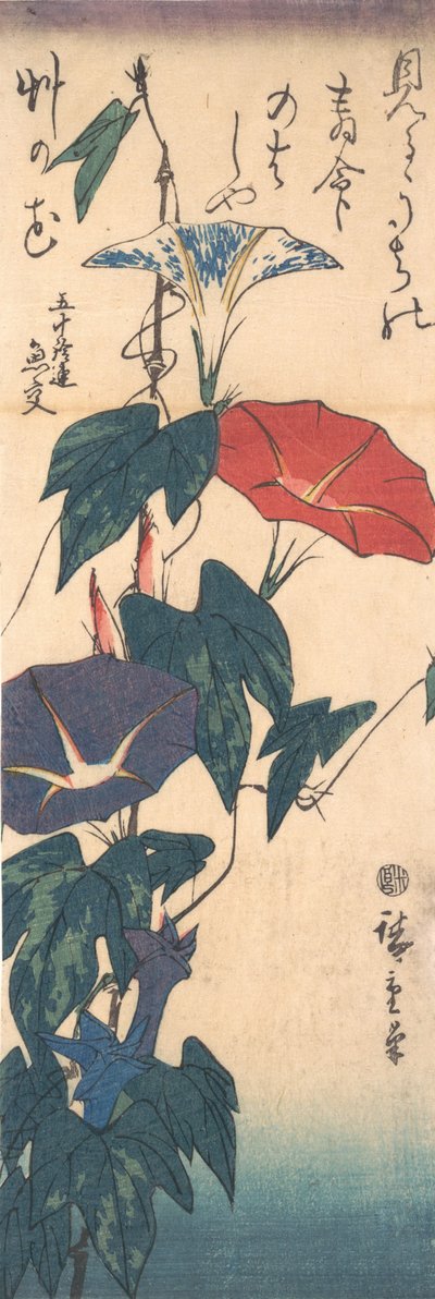 朝顔、カリフォルニア州。 1843 年。 1843年。 作： Ando Hiroshige