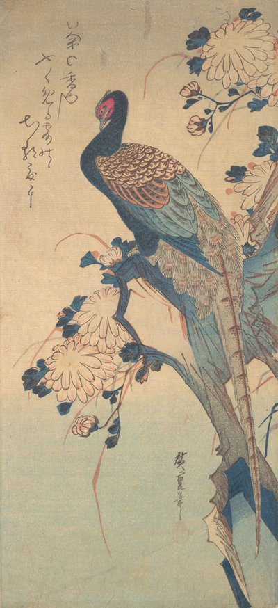 菊とキジ、約。 1835年頃。 1835年。 作： Ando Hiroshige