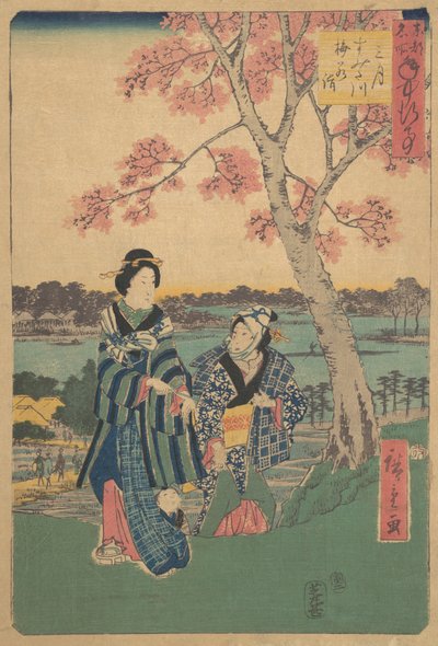 1854年「F...での年中行事」シリーズより隅田川での3月の梅の花見. 作： Ando Hiroshige