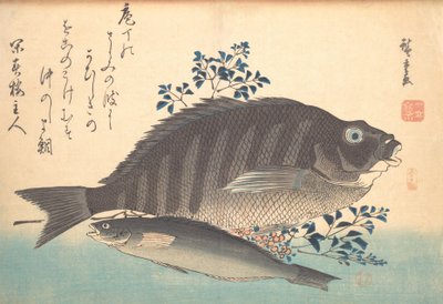 シマダイとアイナメの魚, シリーズ魚づくしのさまざまな魚, 1840s., 1840s. 作： Ando Hiroshige