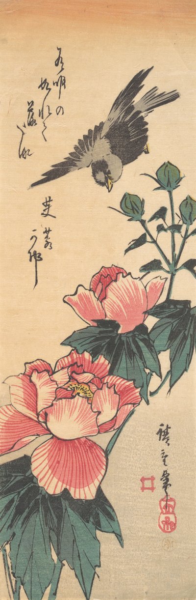 スズメとハイビスカス 1834年頃。 1834年。 作： Ando Hiroshige