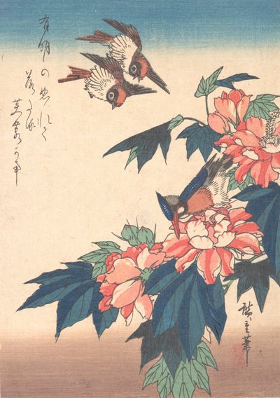 ツバメとカワセミとアオイ科の植物、カリフォルニア州。 1838年頃。 1838年。 作： Ando Hiroshige