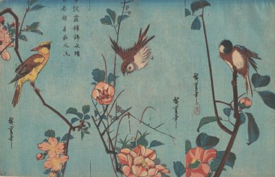 右はシジュウカラとツバキ、中央はスズメと野バラ、そしてクロエリ・オリオール...1833年頃。 作： Ando Hiroshige