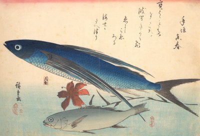 トビウオとイシモチの魚, シリーズ 魚づくし いろいろな魚, 1840s., 1840s. 作： Ando Hiroshige