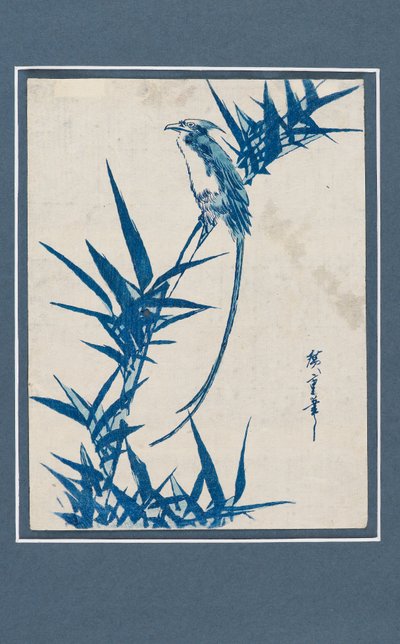 浮世絵 - 青の枝に鳥、c1820-1858 作： Ando Hiroshige