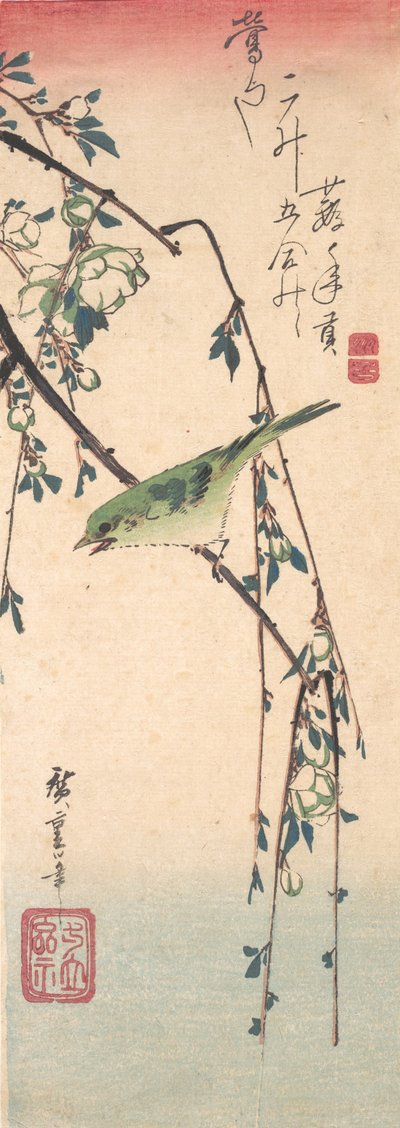 梅の枝のウグイス、約。 1835年頃。 1835年。 作： Ando Hiroshige