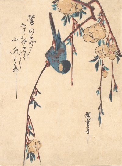 しだれ桜。 作： Ando Hiroshige
