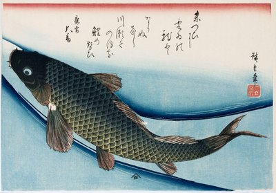 「コイ」、シリーズ「魚のコレクション」 作： Ando or Utagawa Hiroshige