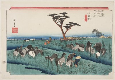 Chiry?初夏の馬市(Chiry?, shuka uma ichi) (カラー木版画) 作： Ando or Utagawa Hiroshige
