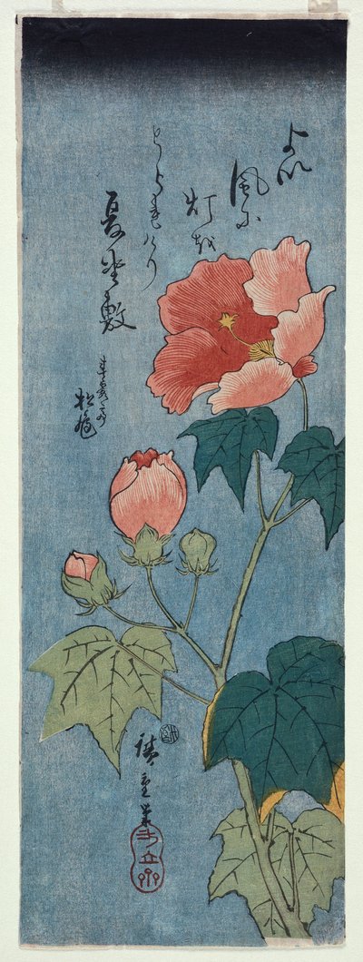 開花ポピー、タンザク 作： Ando or Utagawa Hiroshige