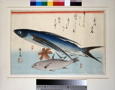 トビウオ、イシモチ、ユリ 作： 安藤または歌川広重
