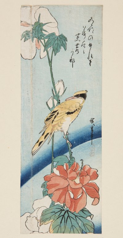 ハイビスカスとヒゲナガアオギリ（カラー木版画 作： Ando or Utagawa Hiroshige