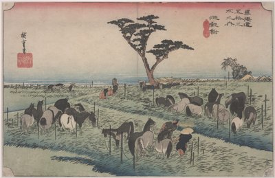 初夏のホースフェア 作： Ando or Utagawa Hiroshige