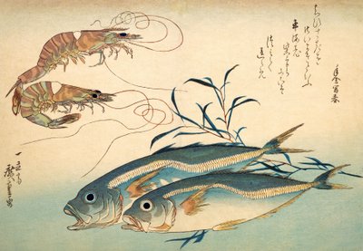 あじと車海老（色木版） 作： Ando or Utagawa Hiroshige