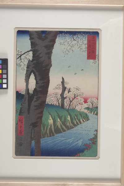 武蔵国小金井（むさしこがねい）（有色木版画） 作： Ando or Utagawa Hiroshige