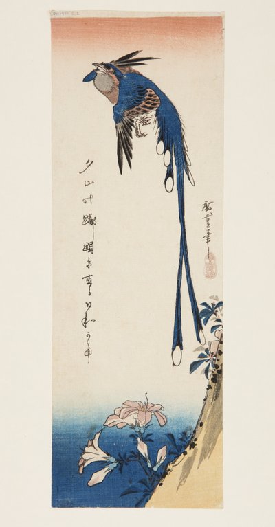 カササギとアザレア（カラー木版画 作： Ando or Utagawa Hiroshige