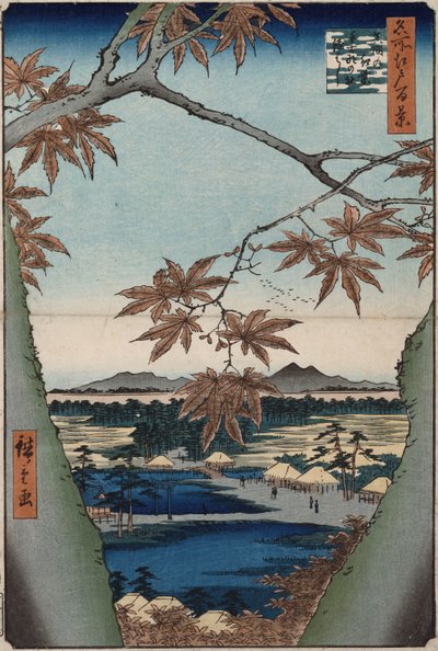 「江戸の名所百景」シリーズのカエデの葉とTekona神社、ママ橋 作： Ando or Utagawa Hiroshige
