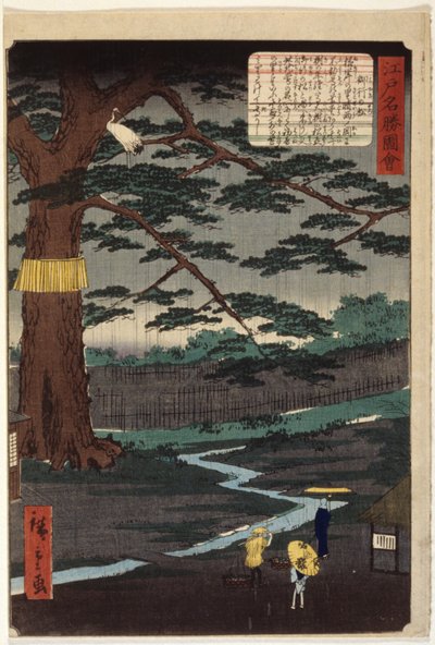 みゆき松（色木版画） 作： Ando or Utagawa Hiroshige