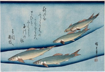 Rivertrout」、「魚のコレクション」シリーズから 作： Ando or Utagawa Hiroshige