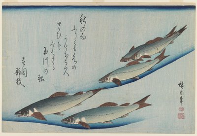 江戸時代の5匹の海マスの学校（紙に色木版画） 作： Ando or Utagawa Hiroshige