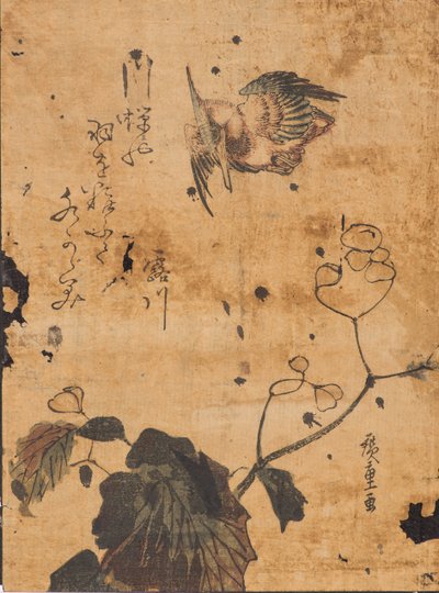 鳥と植物の研究 作： Ando or Utagawa Hiroshige