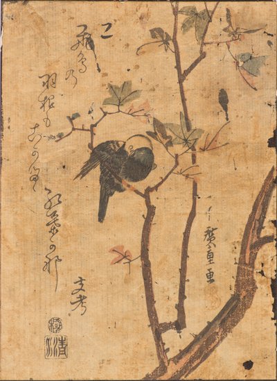 枝で眠っている鳥の研究 作： Ando or Utagawa Hiroshige