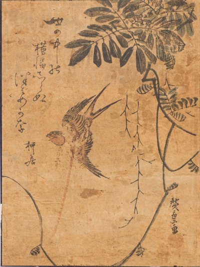 飛翔する鳥と植物の研究 作： Ando or Utagawa Hiroshige