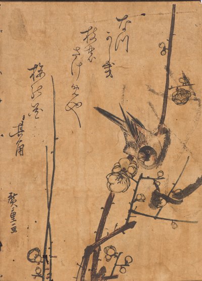 枝にとまる鳥の研究 作： Ando or Utagawa Hiroshige